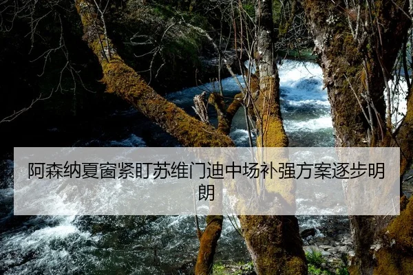 阿森纳夏窗紧盯苏维门迪中场补强方案逐步明朗